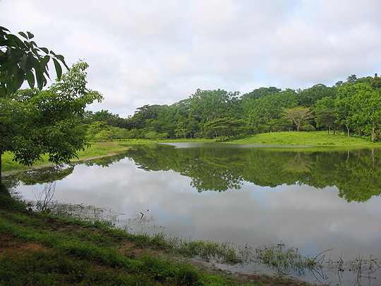 A lake on an Osa Peninsula ranch for sale