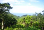 Beautiful ocean view lot