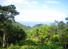 Beautiful ocean view lot