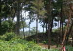 Small amount of ocean view as seen from one of the lots