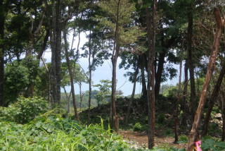 Small amount of ocean view as seen from one of the lots