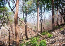 Small inexpensive Santa Teresa lots