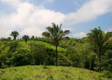 Eco Village for Sale