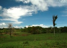 IMG_8511
