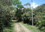 Montezuma1