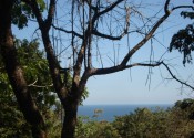 Montezuma2