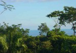 Montezuma318-150x105[1]