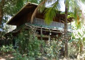 Main House