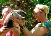 wildlife rescue center