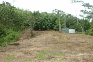 Delicias Spring Lot 1