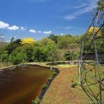 Geodesic Dome and Tilapia Pond in Costa Rica