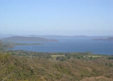 Teak Farm Nicoya Peninsula