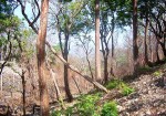 Small inexpensive Santa Teresa lots