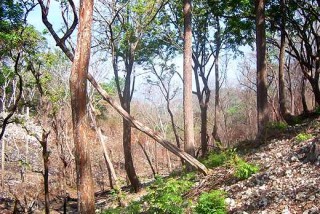 Small inexpensive Santa Teresa lots