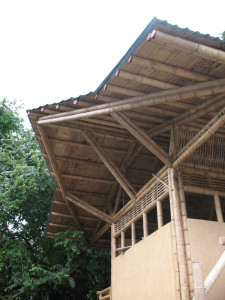 Green Building in the Osa
