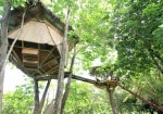 Treehouse at eco village