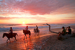 malpais-beach-horses